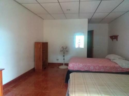 Hostal Bullshark