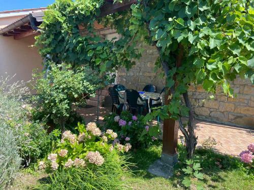 Apartment Villa Istriana
