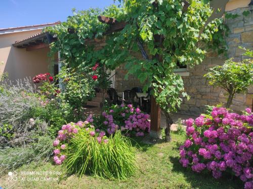 Apartment Villa Istriana