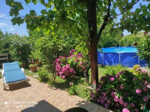 Apartment Villa Istriana