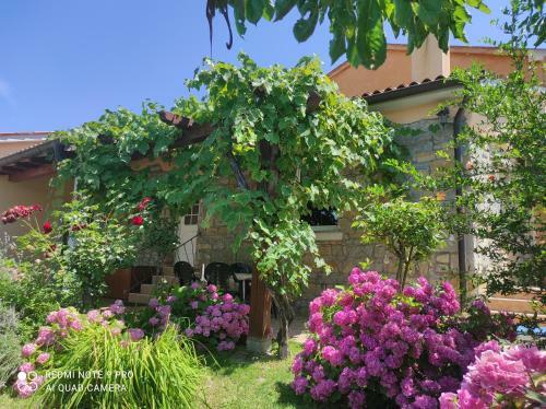 Apartment Villa Istriana