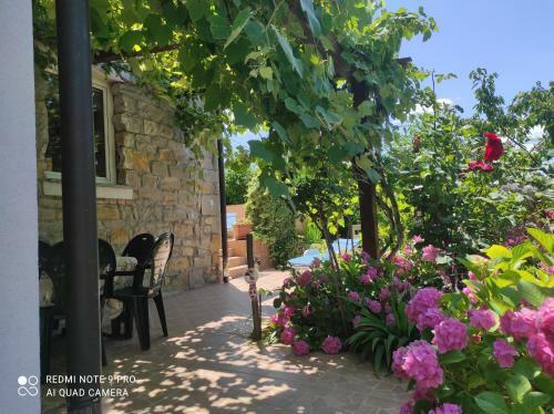 Apartment Villa Istriana