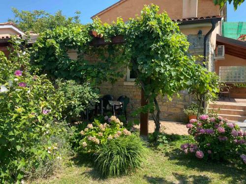 Apartment Villa Istriana