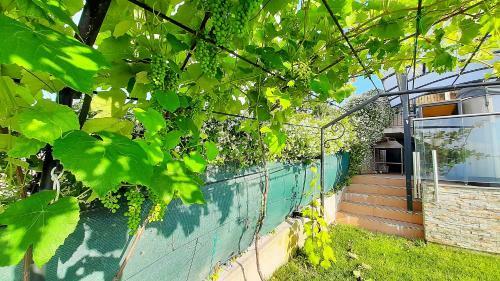 Apartamento Relax Vila ?usterna