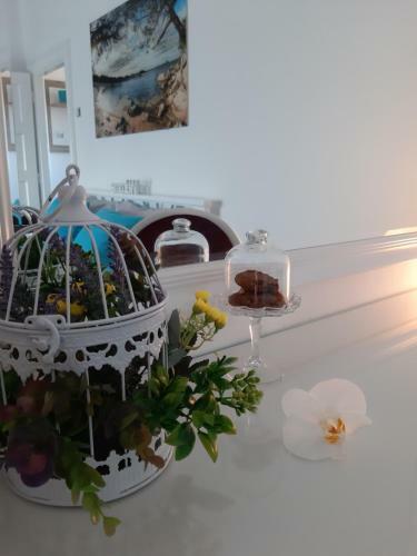 Apartment Zorana-center
