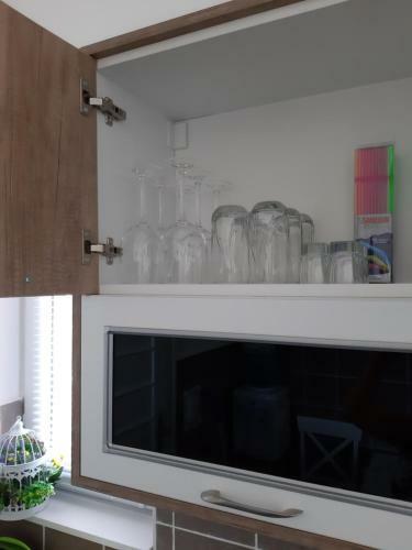 Apartment Zorana-center