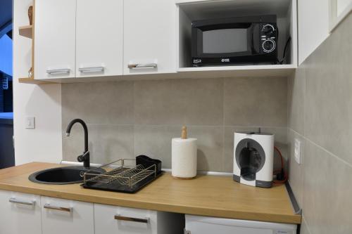 Pupin Palata Business Apartman B15