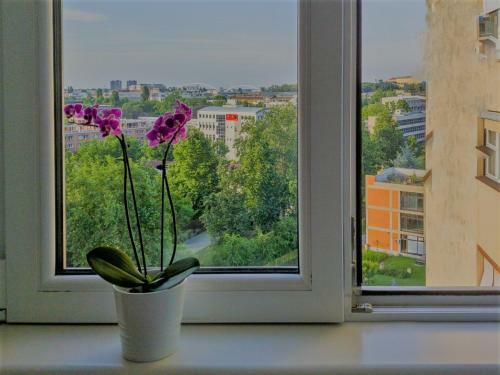 Sweet Home Danube Liman Apartment