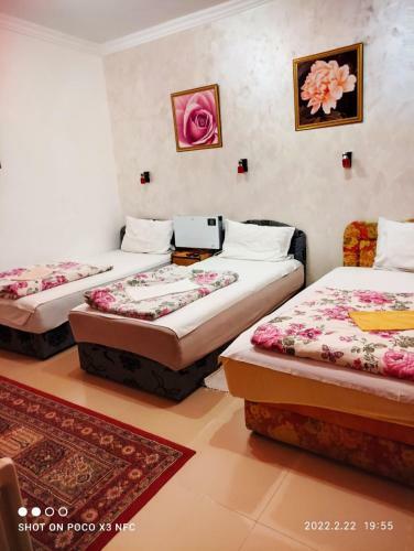 Bed & Breakfast Sobe Sa Kupatilom-bela Ladja