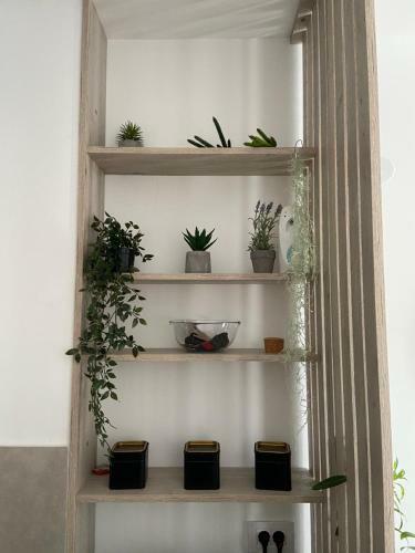 Apartment Pupin Star - City Centre