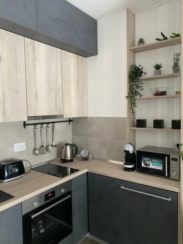 Apartment Pupin Star - City Centre