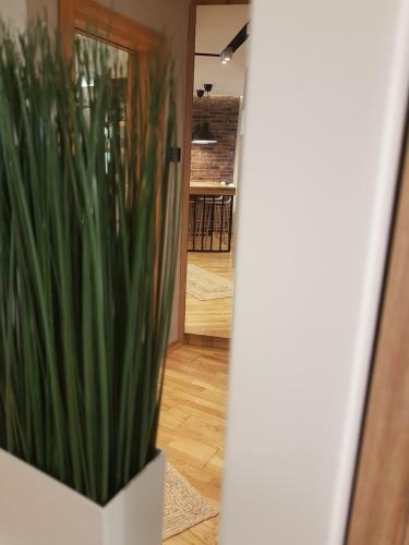 Tesla 3 Apartment
