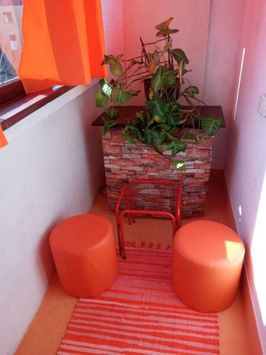 Apartman Rose