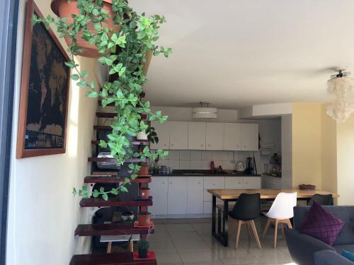 Hospedaje - Habitaci�n Privada A 2 Cuadras De Playa Brava