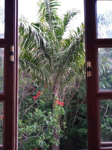 Espa�o Cris�ntemos B�zios