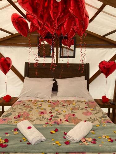 Primitivo Glamping Buzios