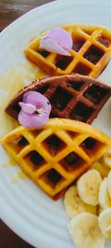 Primitivo Glamping Buzios