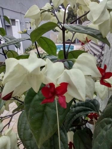 Apartamento Basic In B�zios Kitnets