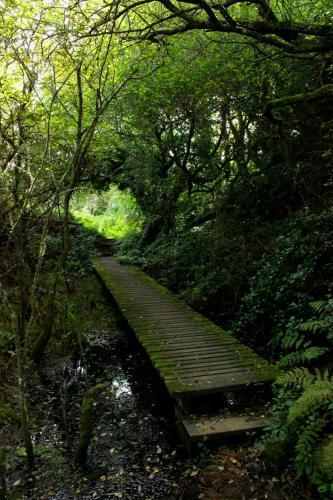 Hostal Wheal Rodney Holiday Lodges
