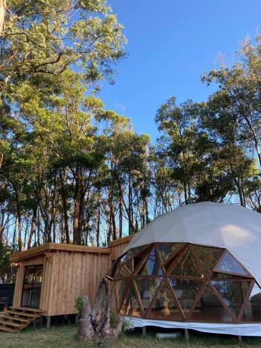 Casa Domo En Medio de La Naturaleza