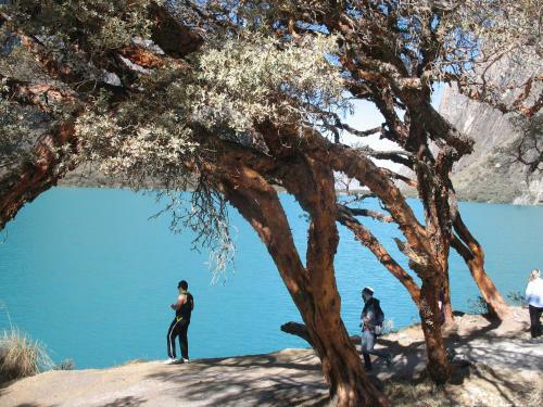 Bed & Breakfast Shumak Alpamayo Hostal Huaraz