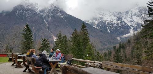 Yellow Apartma Kranjska Gora