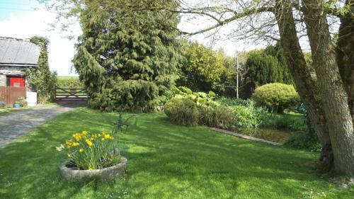 Hostal Sampson Barton Guest House