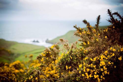 Soar Mill Cove Hotel