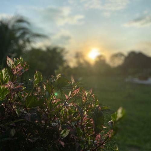 Bed & Breakfast Saraya Lodge & Camping