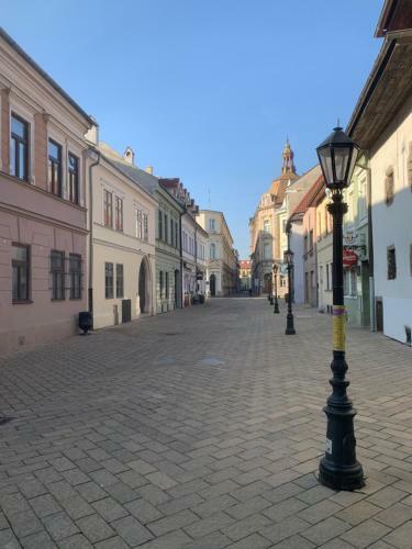 Old Town Apartment Podtatranskeho