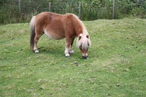 Agroturismo Highgarry Cottage