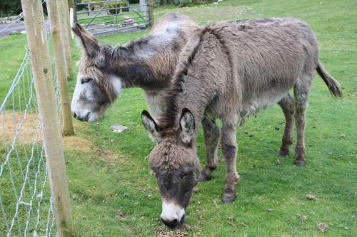 Agroturismo Ardgarry Farm