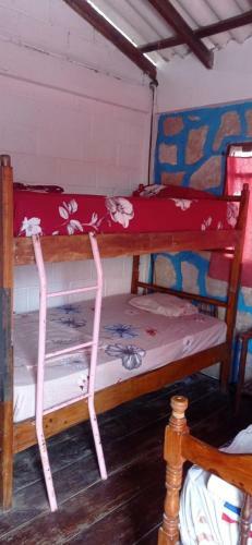 Albergue Blue House Hostal