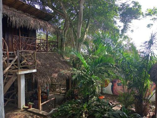 Hotel Nunkai Eco-hostal & Caf� Bosque