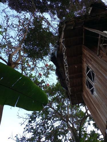 Hotel Nunkai Eco-hostal & Caf� Bosque