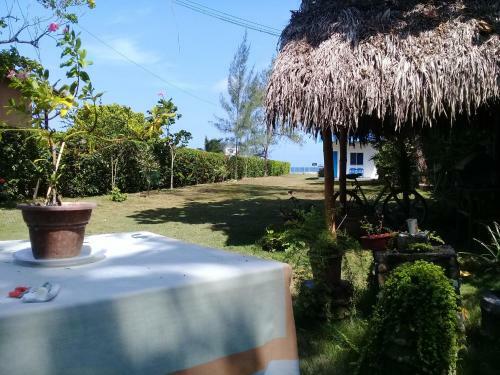 Apartamento Port�n Azul