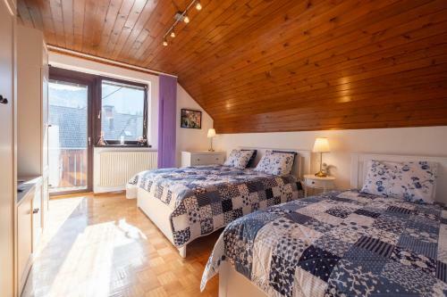 Apartamentos Savadolinka House