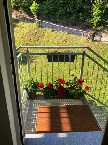 Apartamentos Savadolinka House