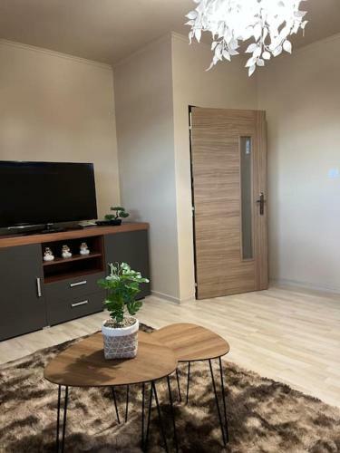 Garzon Studio Apartment