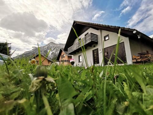 Apartment Veliki Breg