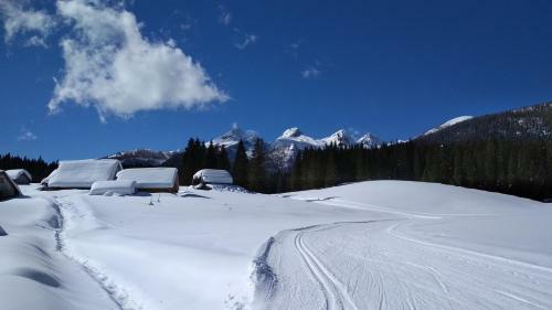 Apartments River Cottage Mojstrana