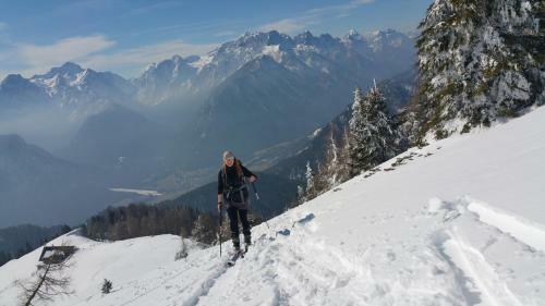 River Cottage Mojstrana