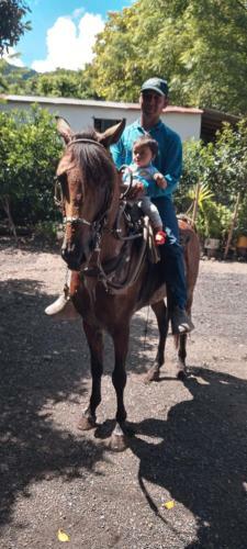 Hostal Hospedaje La Casa Del Caballo - El Dindal