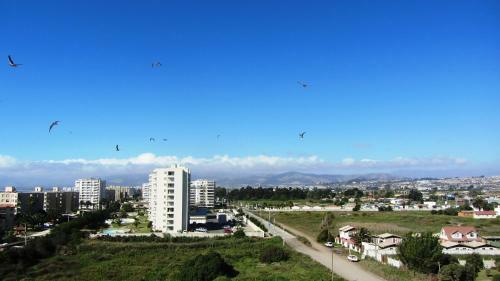 Apartamento Nicoland Playa Y Piscina La Serena