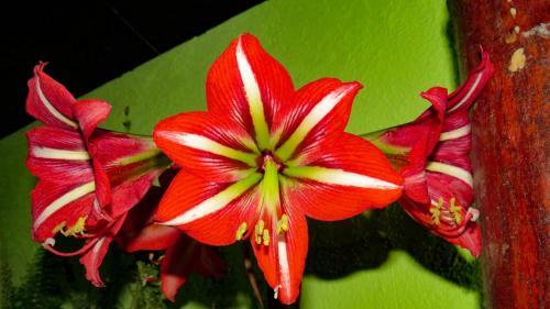 Lodge Quinta Santa Teresa