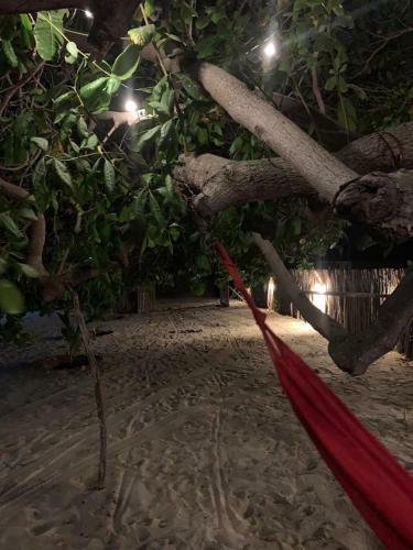Vila Das Praias - Barra Grande Pi