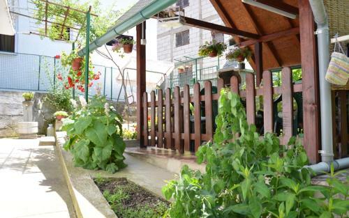 Hostal Guesthouse Vila Natalija