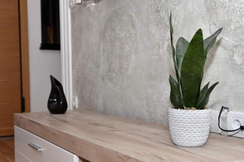 Apartman Elena2