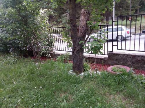 Apartamento ?umska Idila Rakovac