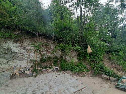 Apartamento ?umska Idila Rakovac